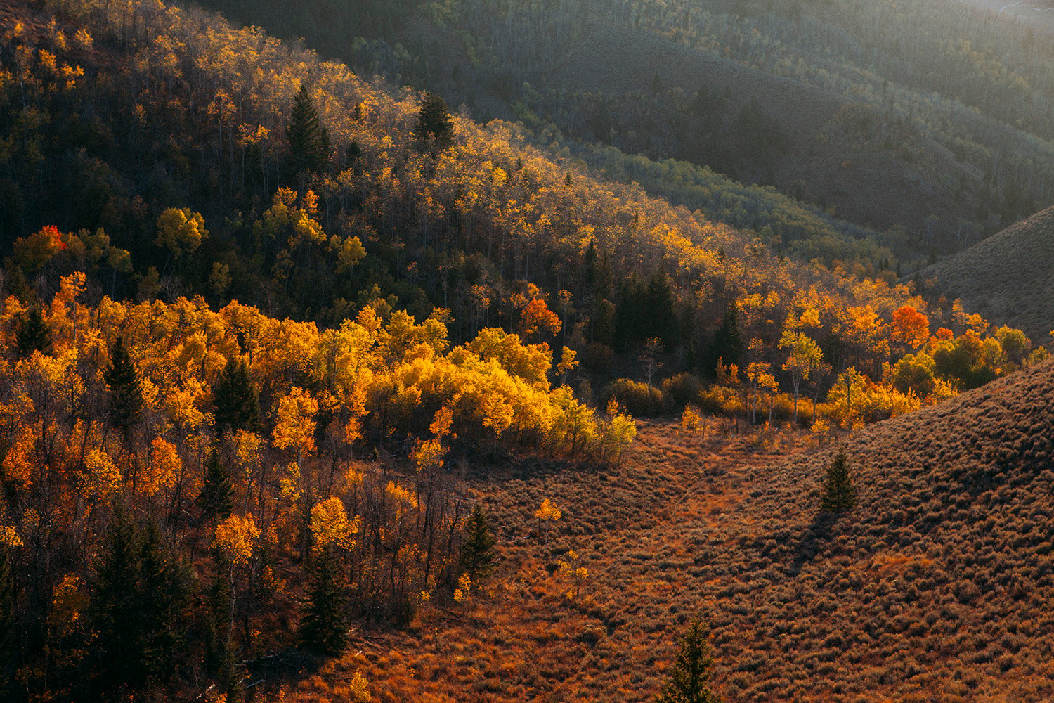 Best Fall Hikes in Sun Valley, Idaho