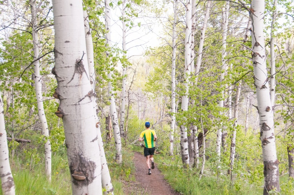 Trail Running in Sun Valley, Idaho - Adams Gulch - Sara Sheehy