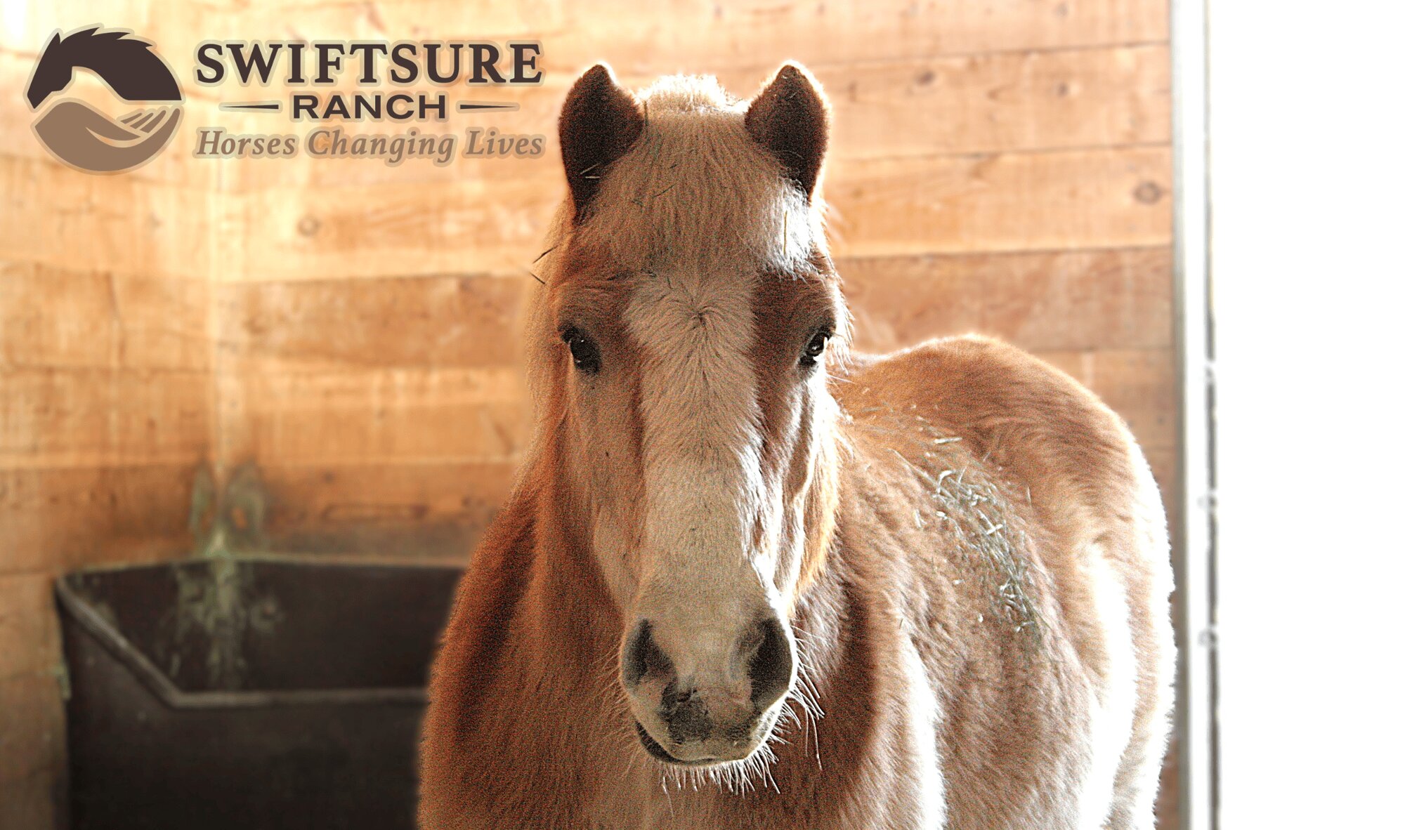 event-193208-1772573174