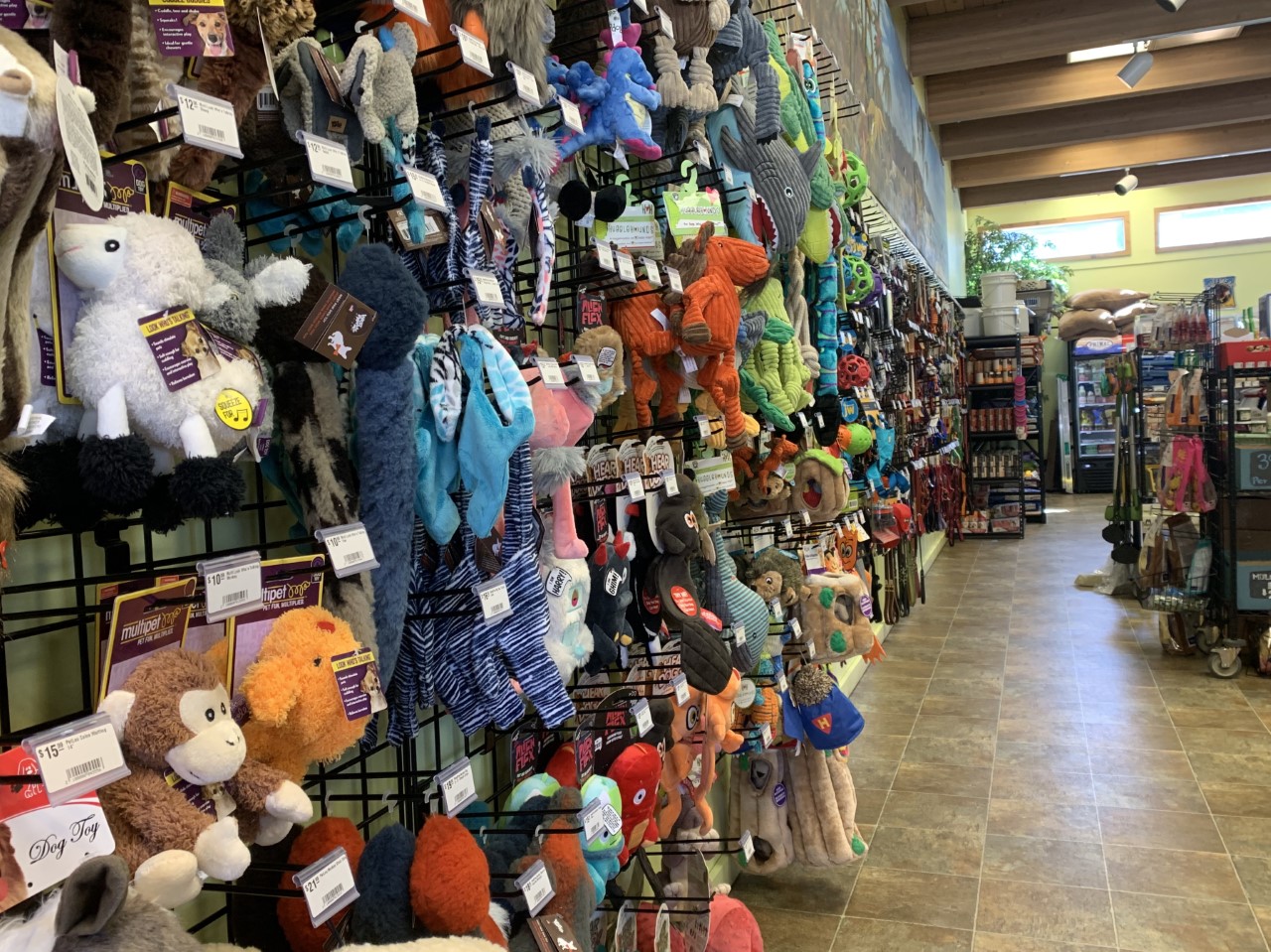 Thunderpaws Pet Shoppe Visit Sun Valley