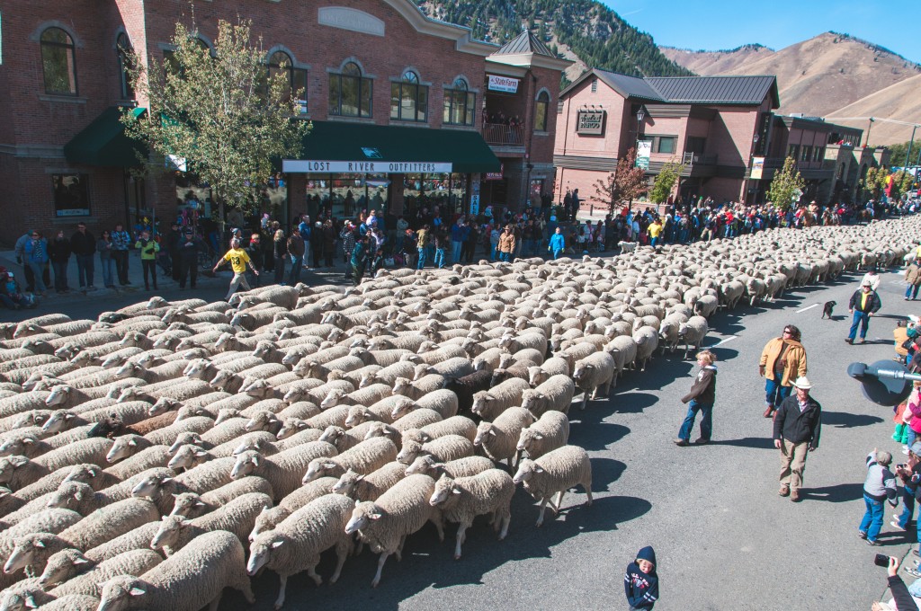 What Not to Miss at the Trailing of the Sheep Festival in Sun Valley