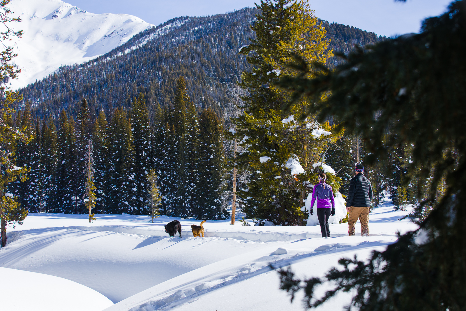 Guide to Snowshoeing