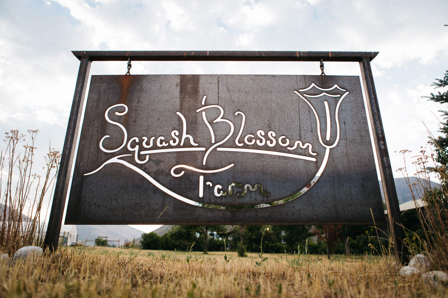Farming in Sun Valley, Idaho Squash Blossom Farm[sitename]