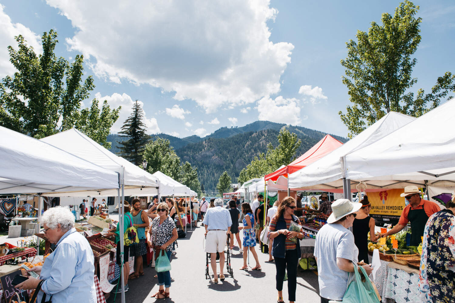 Farming in Sun Valley, Idaho Squash Blossom Farm[sitename]
