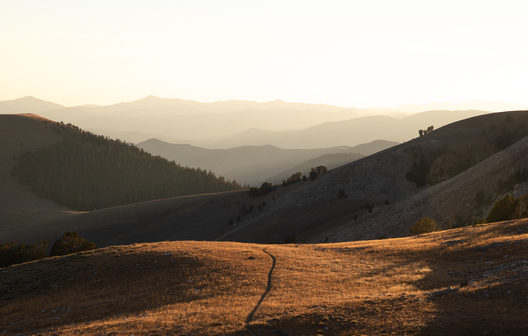 A Summer in Sun Valley, Idaho