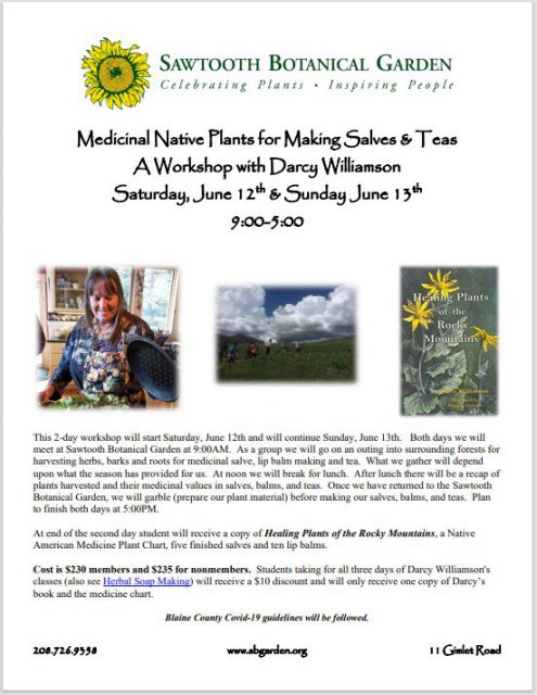 Medicinal Native Plants for Making Salves and Teas with Darcy Williamson @ Sawtooth Botanical Garden | Ketchum | Idaho | United States