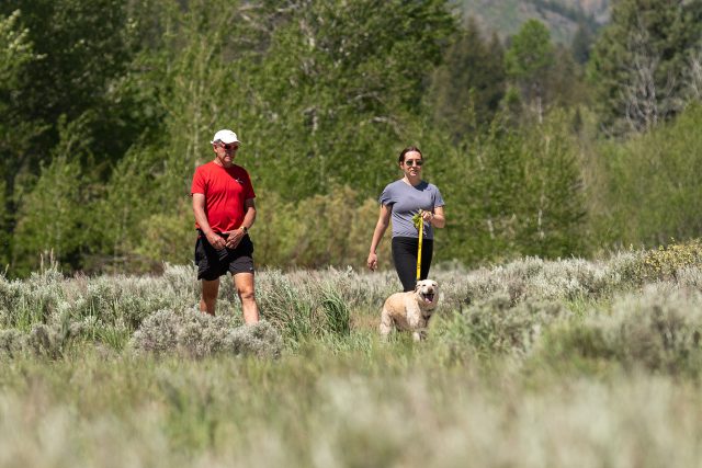 Mountain Humane Hikin' Buddies @ Adam's Gulch | Idaho | United States