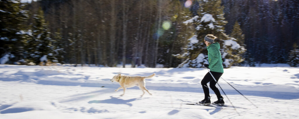 Nordic Cross Country Skiing in Sun Valley & Ketchum Idaho