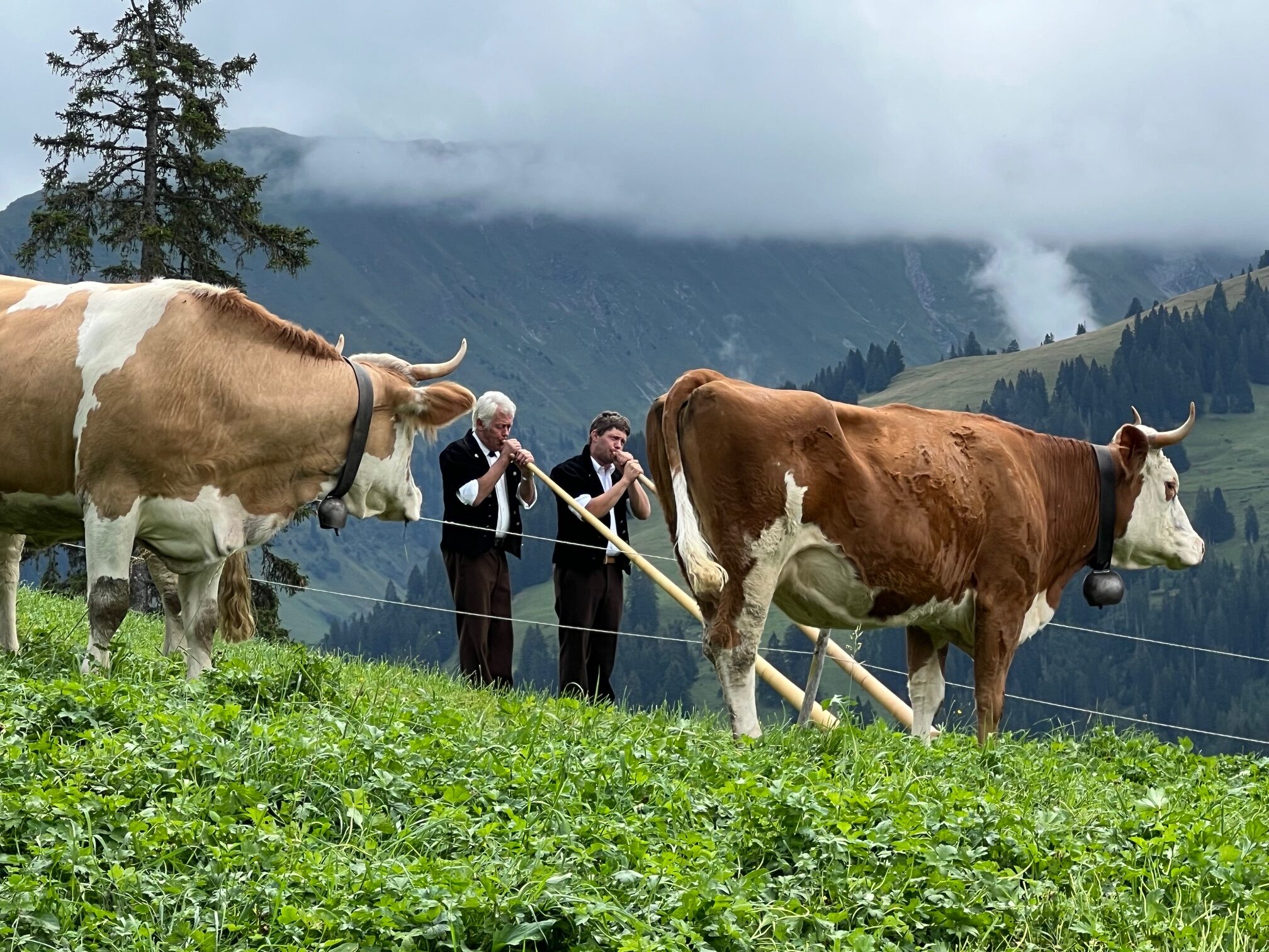 Switzerland to Sun Valley: How the alps have influenced Sun Valley