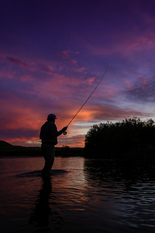 Fly Fishing