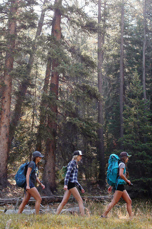 Hiking