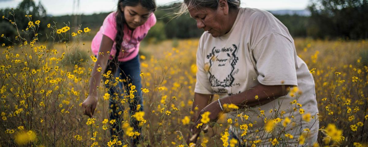 SVMoA @ Merlin’s Magic Lantern: Gather