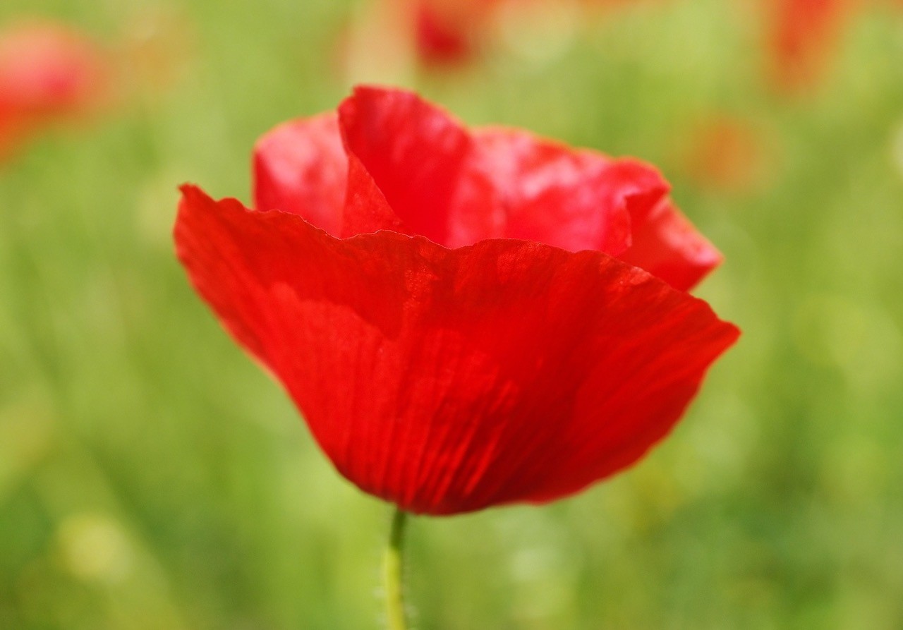 Befriending the Energy of Saturn & Saturn Return