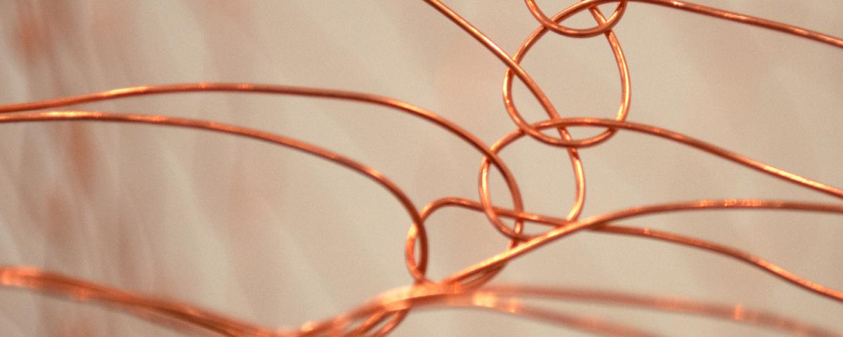 TEEN WORKSHOP: Wire Sculpture