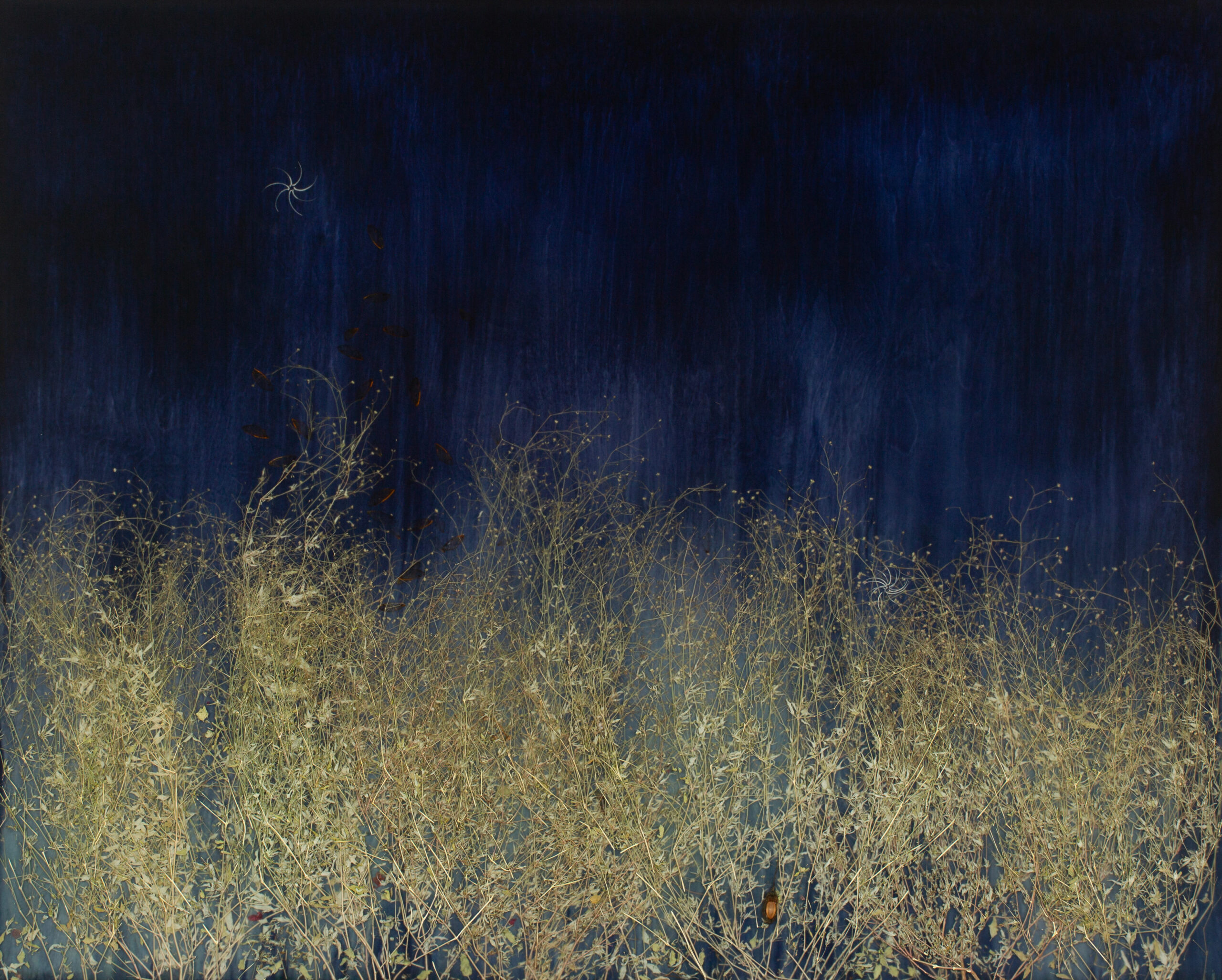 Mayme Kratz the Length of Daylight