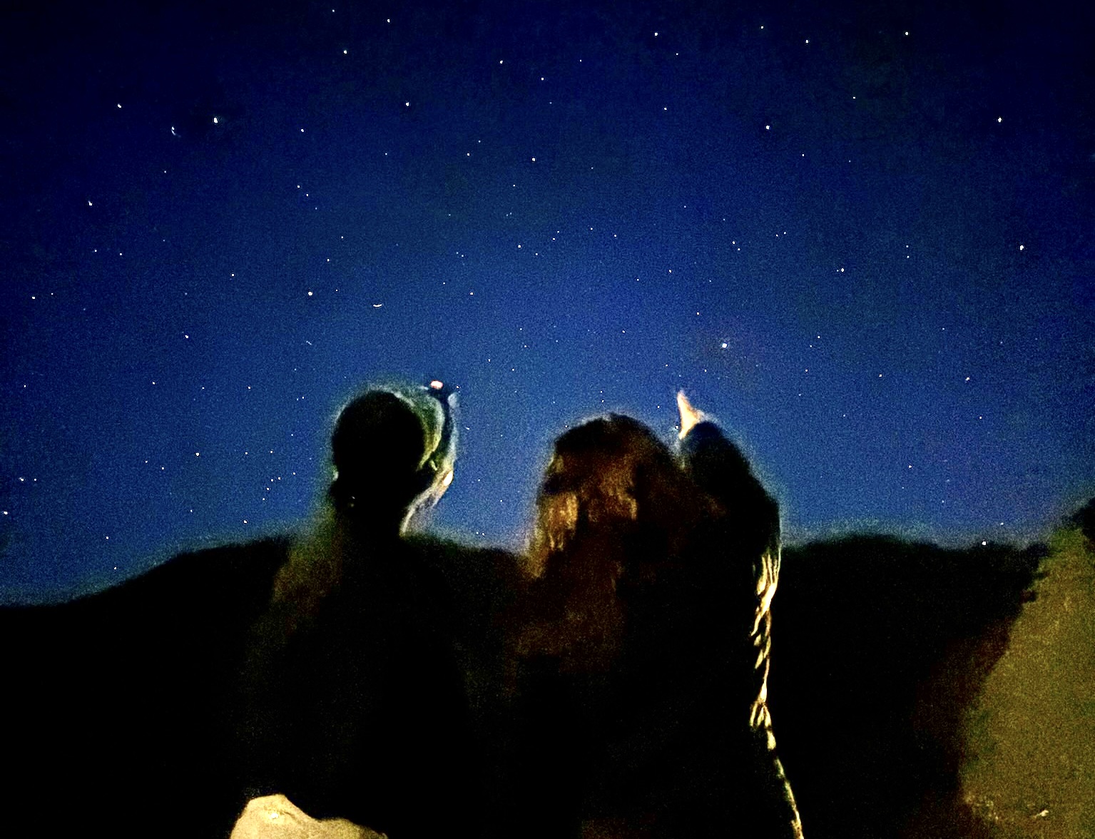 Photo credit to IDSA