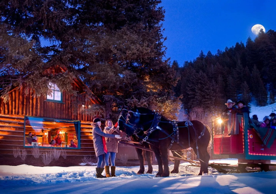 SleighRide to trail creek cabin