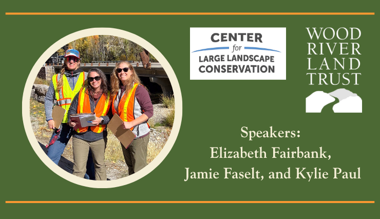 WRLT Wildlife Connectivity 740×426