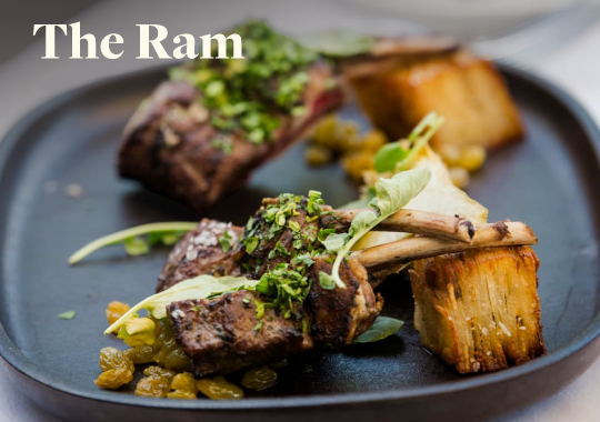 SleighRide to trail creek cabin