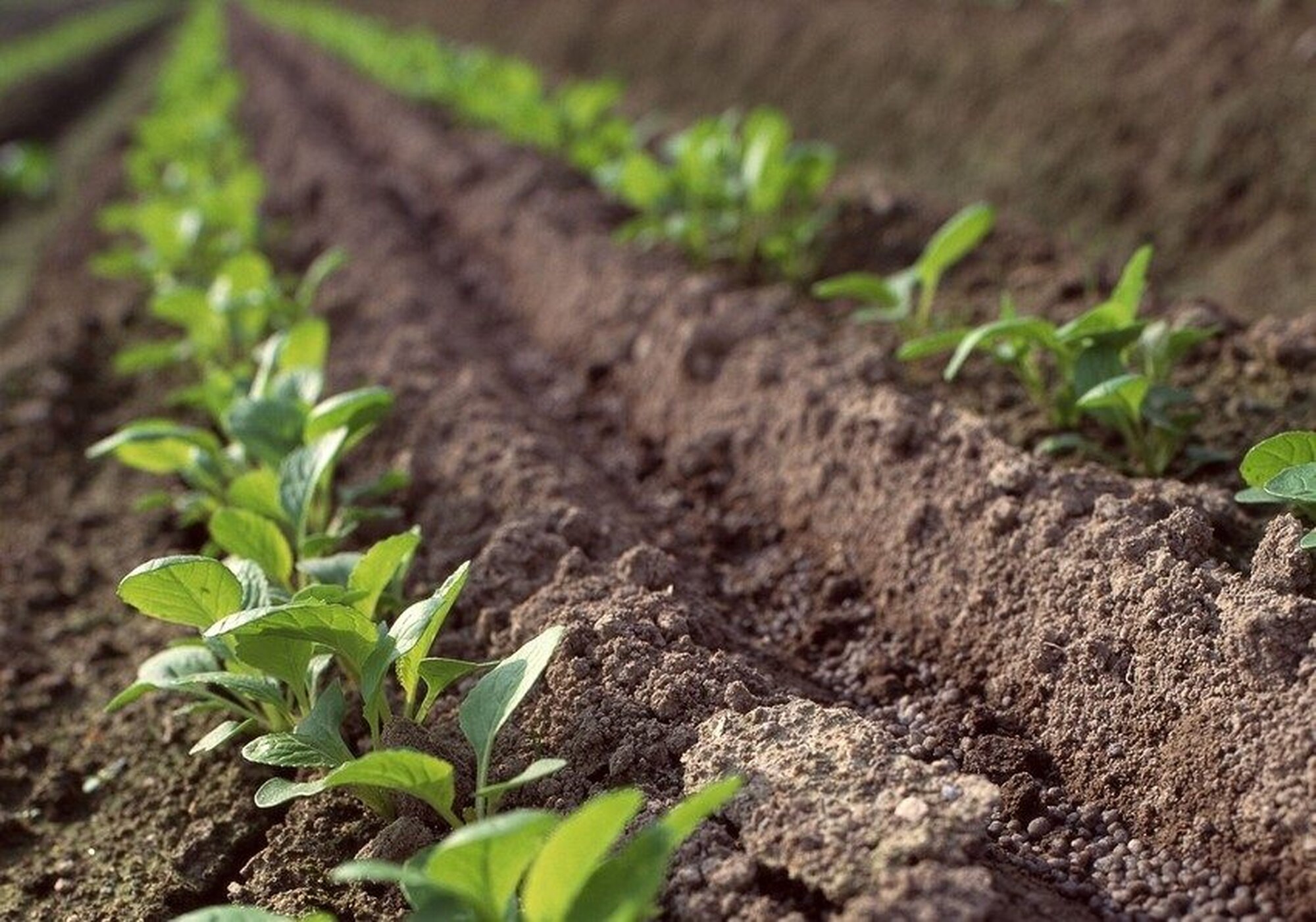 event-193240-1772746593