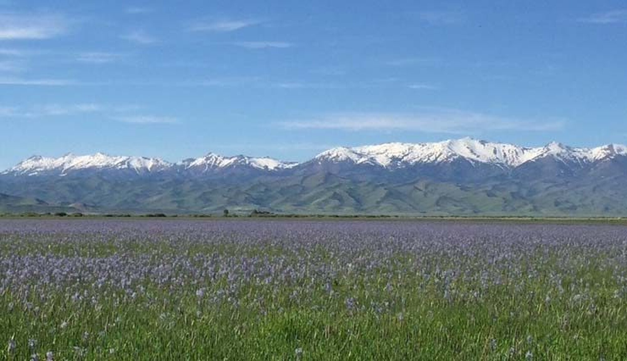 event-193546-1774395553