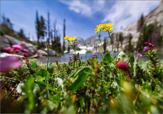 Roundhouse Ride the gondola