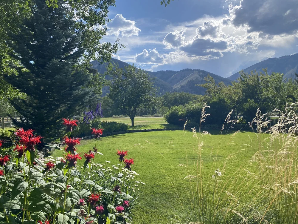 Sawtooh Botanical Garden’s 31st Annual Garden Tour