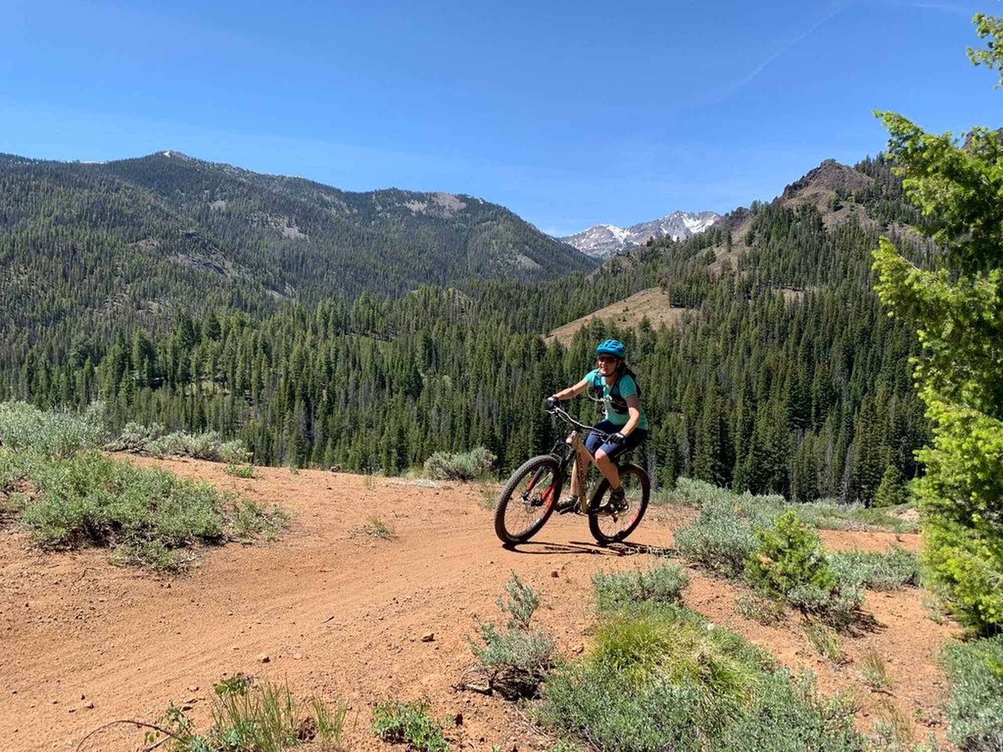 Dust off the Cobwebs- Intermediate Mountain Bike Skills Clinic