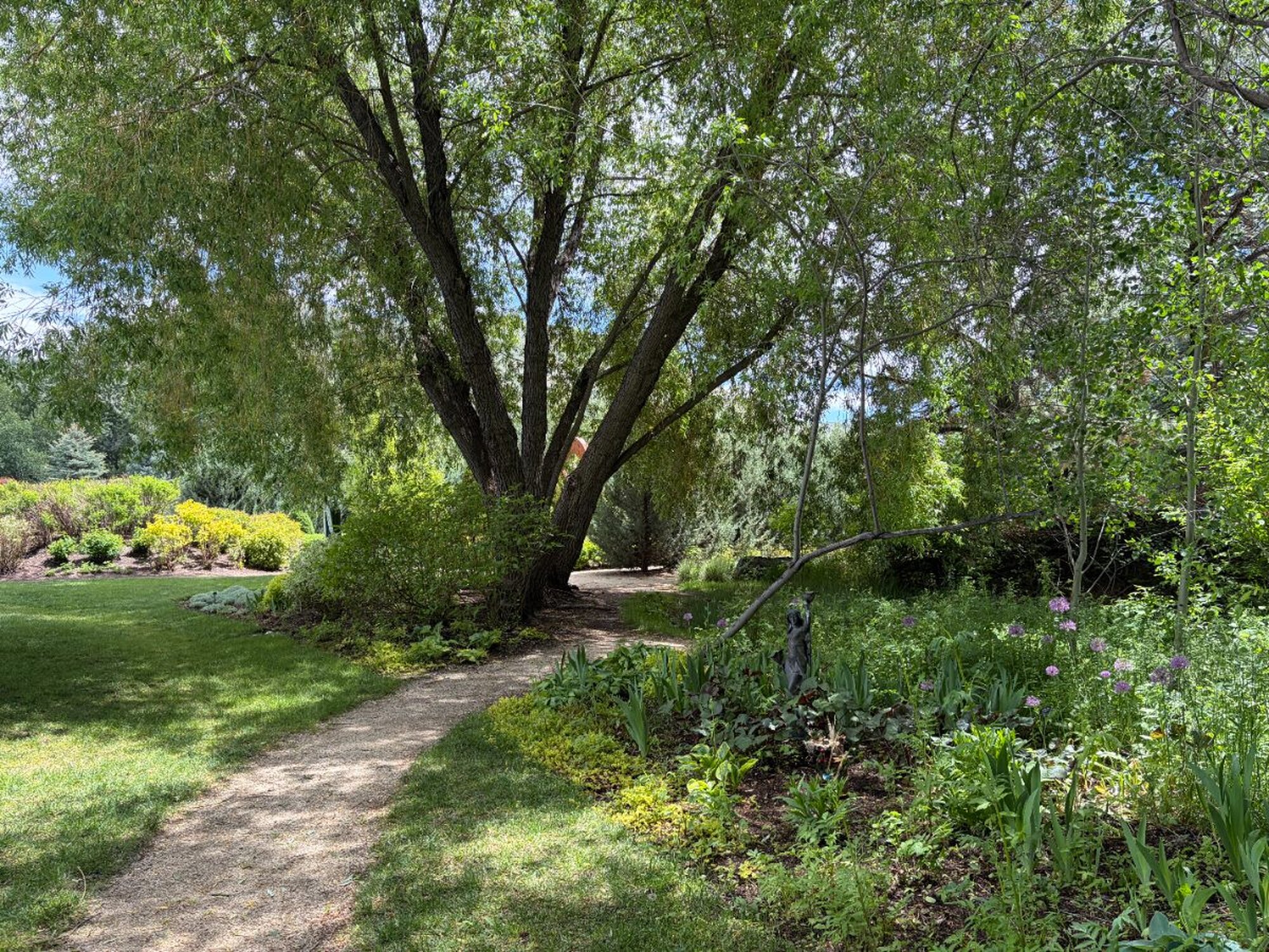 Guided Garden Tours at Sawtooth Botanical Garden