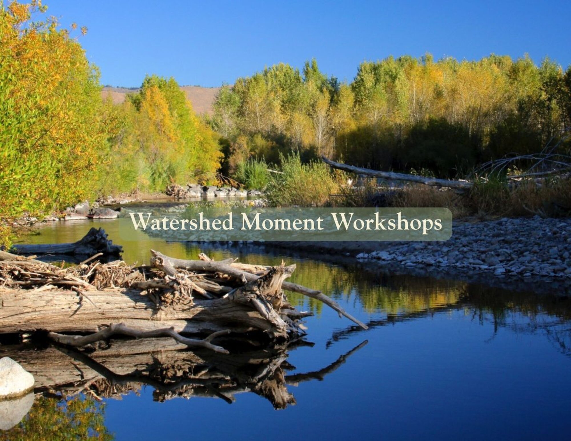 Bellevue Watershed Moment Workshop