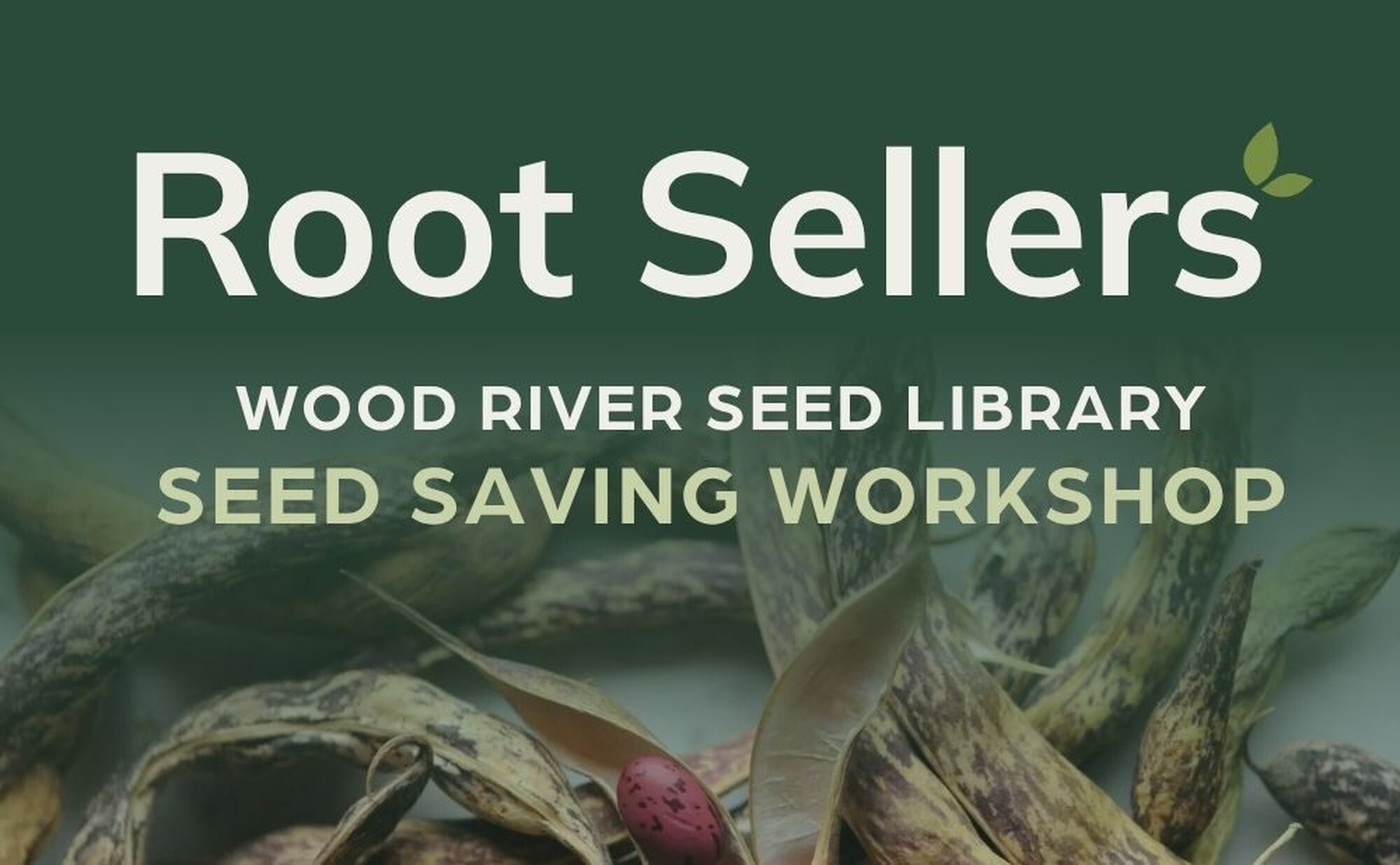 Seed Saving Workshop at Root Sellers
