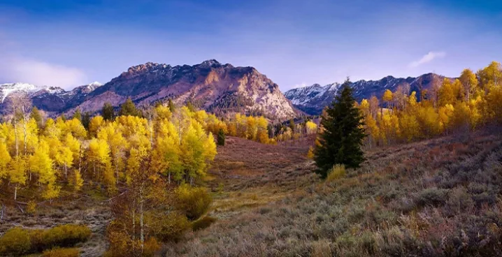 Fall foliage in Sun Valley, Idaho